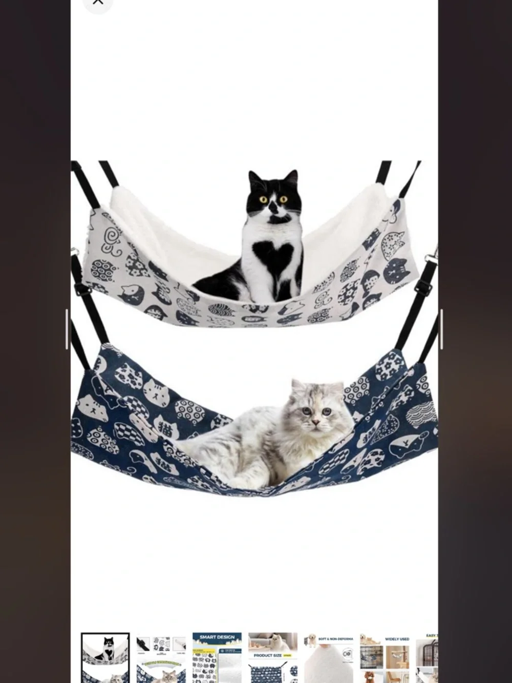 cat Boutiquee questions leave